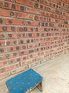 Snapshot of cat-kat chatting on 14, 6, 2026 cat-kat online show from 14, 6, 2026