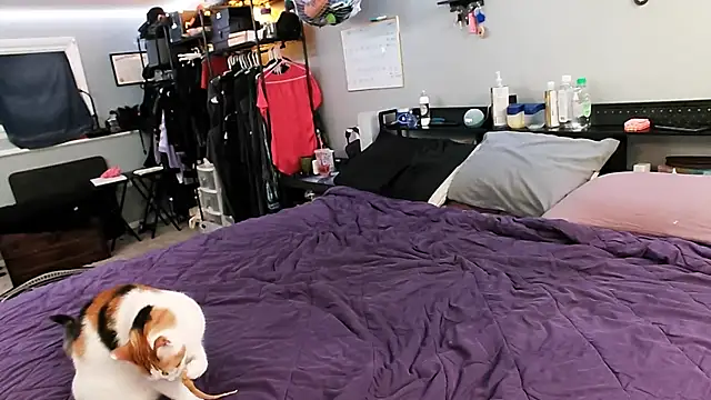 PolyCircus online show from 12, 4, 2026