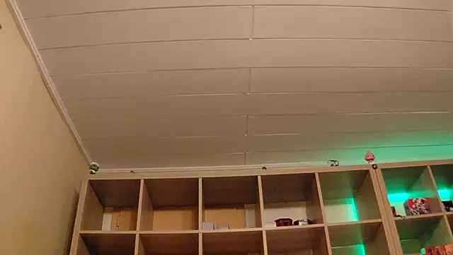 Snapshot of SilvyDiamond chatting on 7, 4, 2026 SilvyDiamond online show from 7, 4, 2026