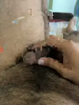 warm milk69 online show from 19, 4, 2026