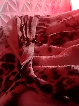 phzada22 online show from 24, 4, 2026