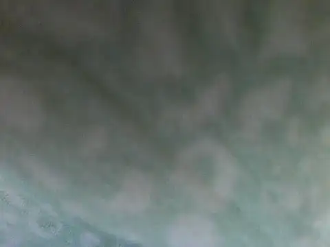 Short-V online show from 17, 4, 2026