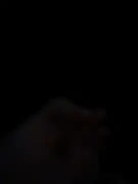 HayleyRoss  online show from 4, 7, 2026