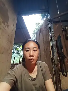 Jinli 01 online show from 8, 8, 2026