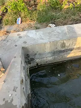 harrydhillon12 online show from 14, 6, 2026