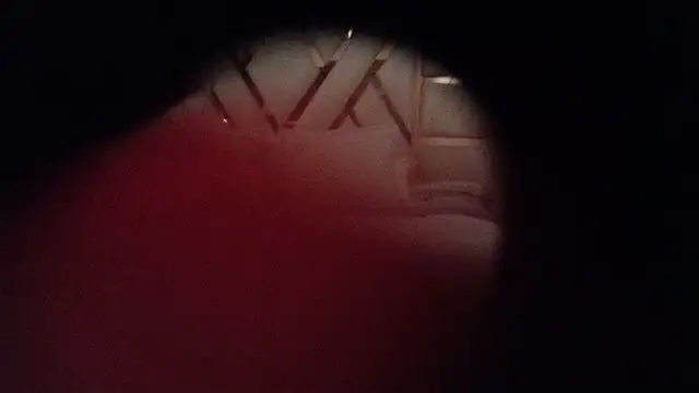 Snapshot of kellygrace_vg chatting on 28, 6, 2026 kellygrace vg online show from 28, 6, 2026