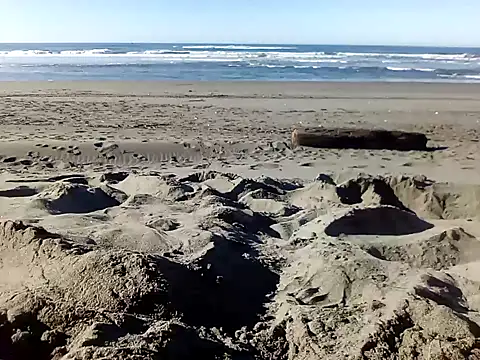 dog-naked online show from 22, 1, 2025