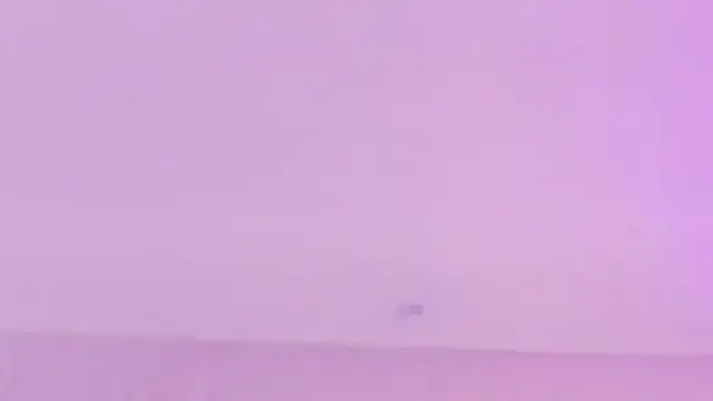 Kailanni online show from 2, 7, 2026