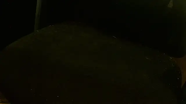 Snapshot of MagicCockMan chatting on 20, 6, 2026 MagicCockMan online show from 20, 6, 2026