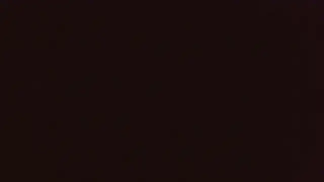 LatinoLeones online show from 3, 7, 2026