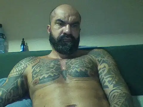 POBSB online show from 7, 7, 2026