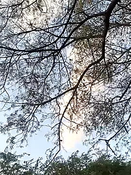 Snapshot of Teluguammai_123 chatting on 12, 7, 2026 Teluguammai 123 online show from 12, 7, 2026
