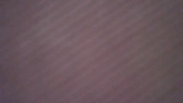 princess188 online show from 28, 7, 2026