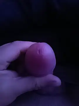 dghikari online show from 9, 8, 2026