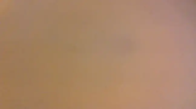 lilpervt online show from 21, 12, 2024