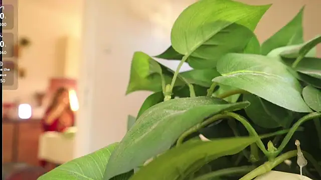 Snapshot of Kishaxxx chatting on 6, 3, 2025 Kishaxxx online show from 6, 3, 2025