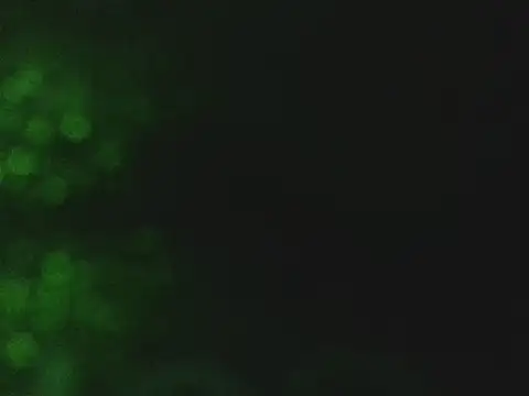 Snapshot of lonelycock33 chatting on 7, 11, 2025 lonelycock33 online show from 7, 11, 2025