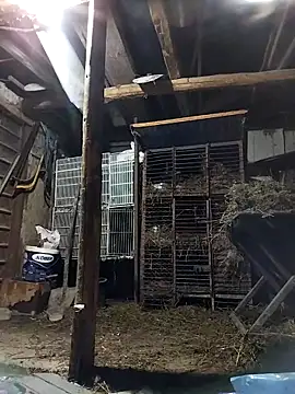 sarpe4 online show from 2, 3, 2026