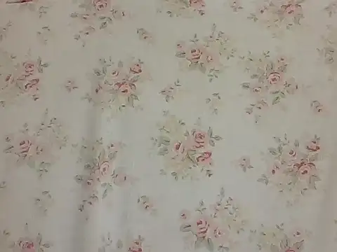 sarathchandru online show from 2, 2, 2026