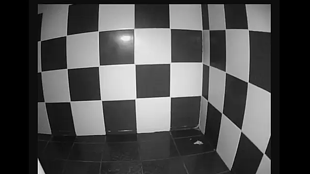 lysergic47 online show from 28, 1, 2025