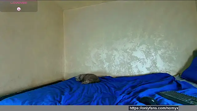 Snapshot of angeliquevany chatting on 2, 12, 2025 angeliquevany online show from 2, 12, 2025