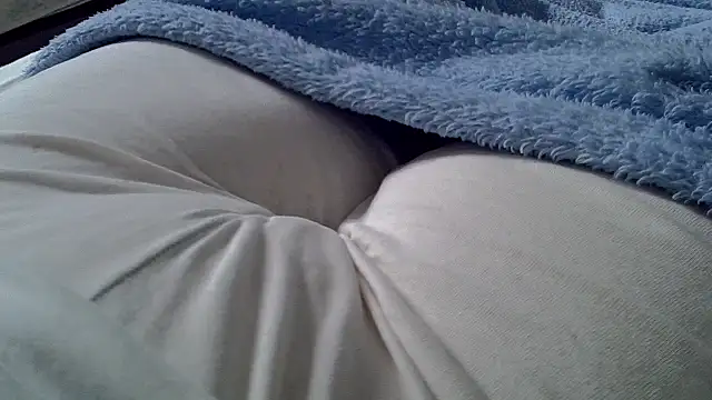 perescam online show from 3, 2, 2026