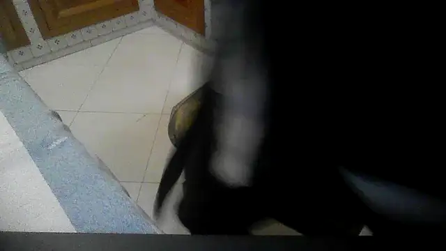 polloiw online show from 18, 10, 2025