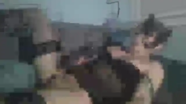 chceciedalsiebie online show from 14, 1, 2026