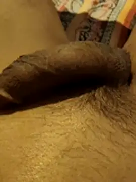 hq9870a online show from 29, 11, 2025