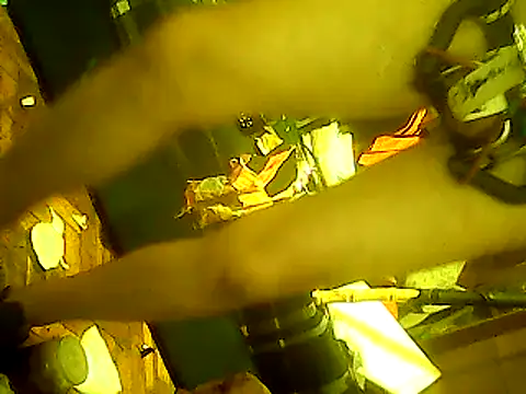 god23free online show from 23, 2, 2025