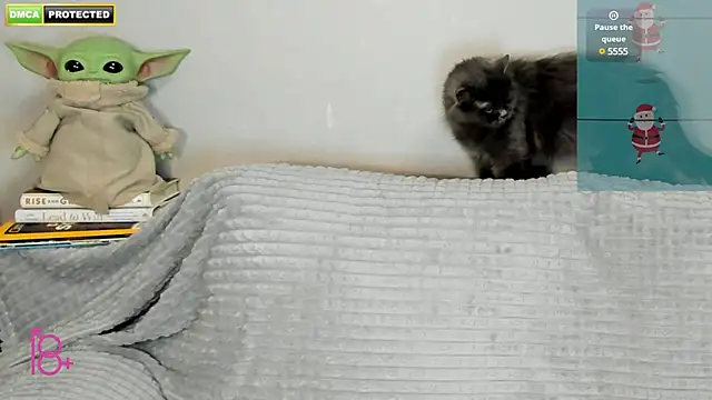 Snapshot of 3ight33nplus chatting on 22, 12, 2024 3ight33nplus online show from 22, 12, 2024