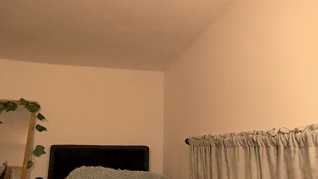 pamela doll online show from 8, 4, 2026