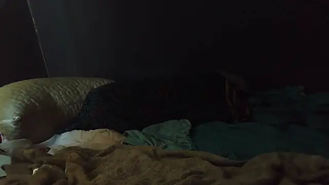 Snapshot of k-dong chatting on 1, 2, 2026 k-dong online show from 1, 2, 2026