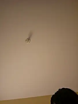 Latin summer online show from 8, 1, 2026