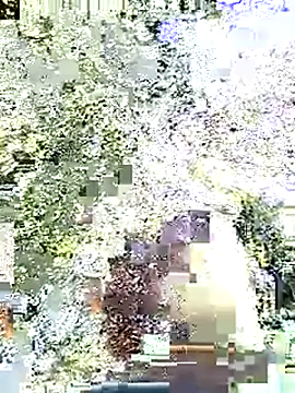 Snapshot of Edgingheaven69 chatting on 13, 7, 2026 Edgingheaven69 online show from 13, 7, 2026