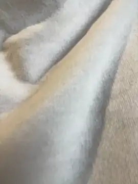 Aestheticsgirl online show from 3, 3, 2026