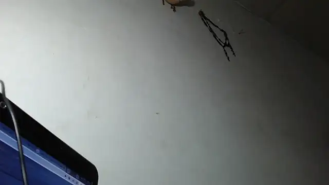 adrixxx38 online show from 5, 3, 2026