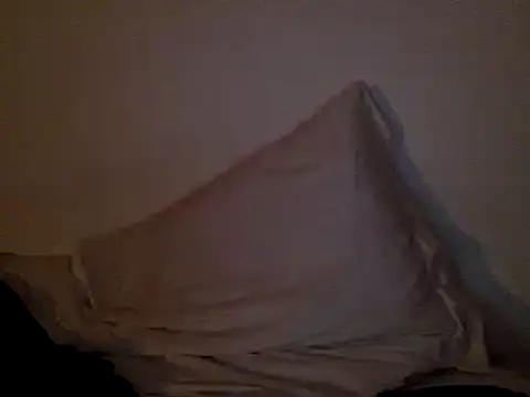 Snapshot of FelipeRiver chatting on 22, 1, 2025 FelipeRiver online show from 22, 1, 2025