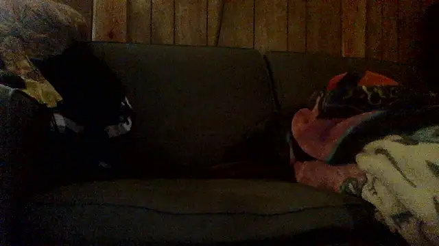 Snapshot of Ryoko_Momoko chatting on 1, 11, 2025 Ryoko Momoko online show from 1, 11, 2025