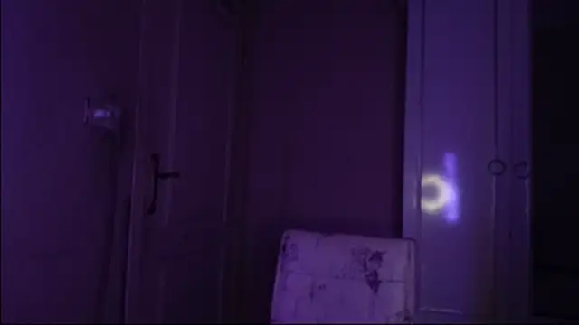 Bullish online show from 22, 1, 2025