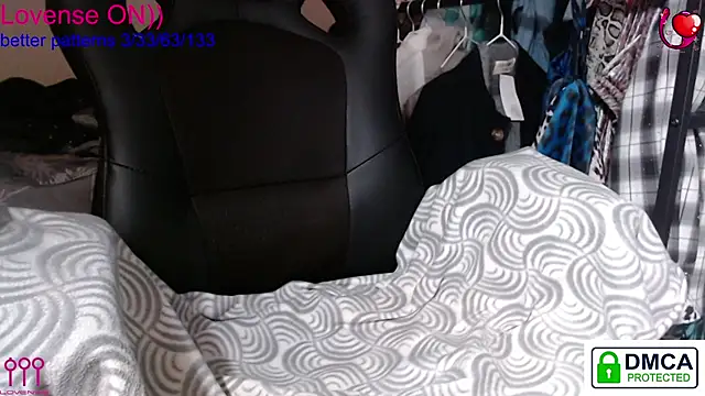 sweet cute cat online show from 8, 11, 2025