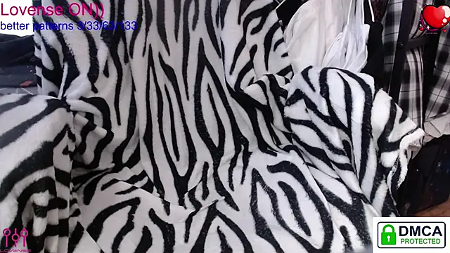 sweet cute cat online show from 18, 1, 2026