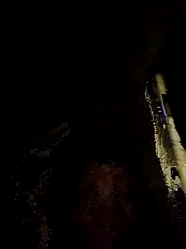 tropikboy online show from 25, 11, 2025