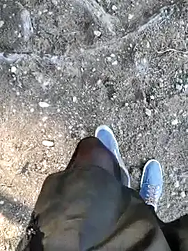 mister-dwt online show from 5, 3, 2025