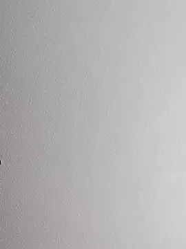 mister-dwt online show from 12, 10, 2025