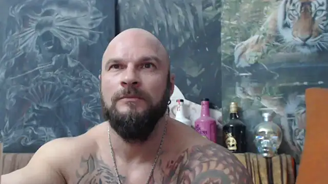 viking 30 online show from 26, 10, 2025