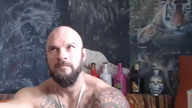 viking 30 online show from 27, 10, 2025