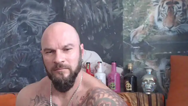 viking 30 online show from 28, 10, 2025