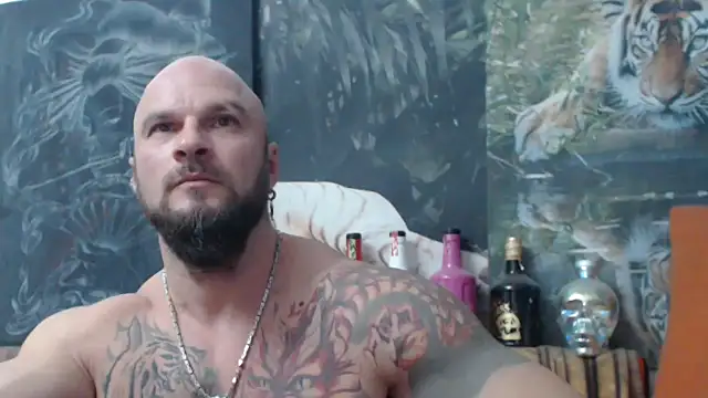 viking 30 online show from 8, 11, 2025