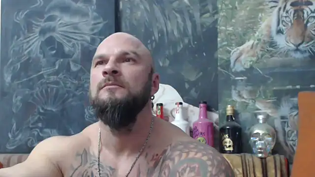 viking 30 online show from 10, 11, 2025